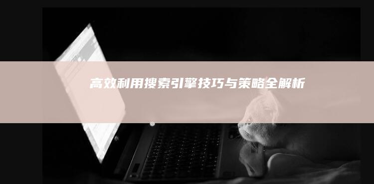 高效利用搜索引擎：技巧与策略全解析